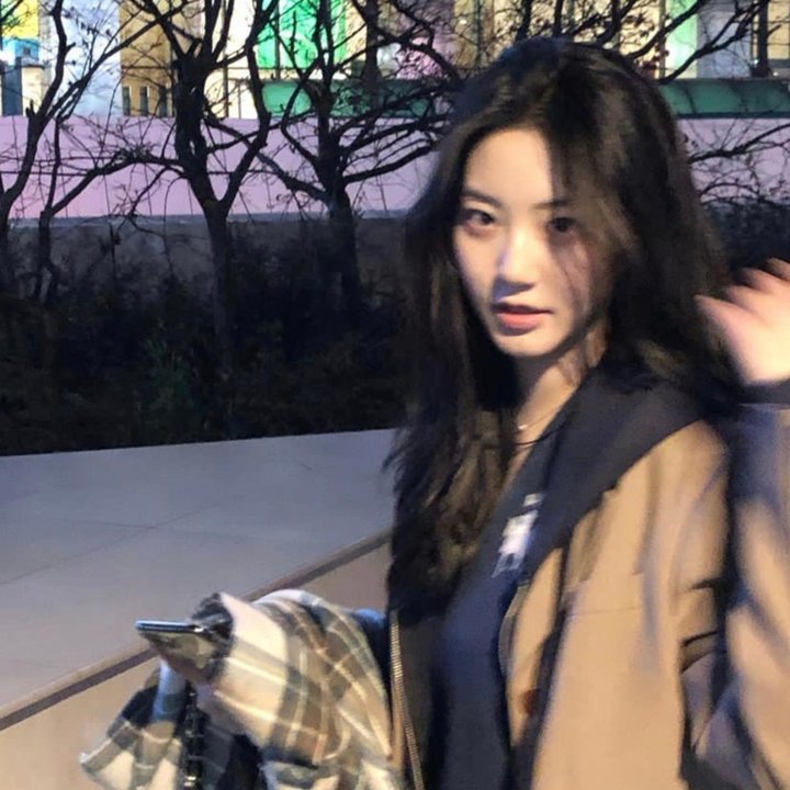 图雅的婚事